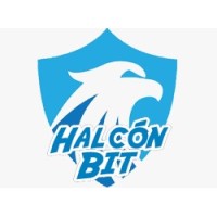 Halcón Bit - Digital Agency logo - Similar company to Technicoders