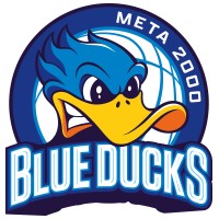 Polisportiva Meta 2000 logo - Similar company to Otter Stone, Inc