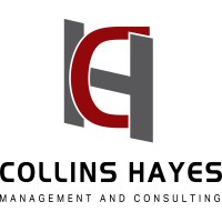 Collins Hayes Management and Consulting logo - Similar company to Flareid