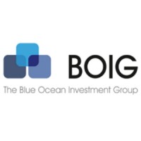 BOIG: The Blue Ocean Investment Group logo - Similar company to Mallson