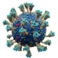 Aging and Virology Journal logo - Similar company to Veterinary And Zoonotic Virology Group (Vez-Vir), Department Of Veterinary And Animal Sciences, Ucph