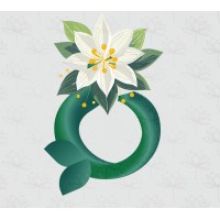HelloDream logo - Similar company to Hellodreams.Io