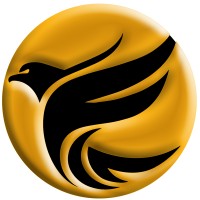 Yellow Falcon Media logo - Similar company to Tamara Research
