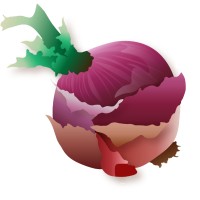 The Layered Onion
