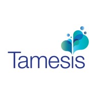 Tamesis DUAL logo - Similar company to Copitech