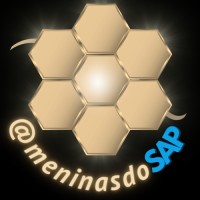 Meninas do SAP logo - Similar company to Azapi Academy