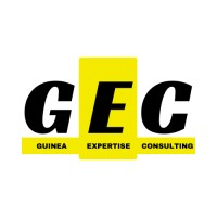 Guinea Expertise Consulting logo - Similar company to B-Hitech