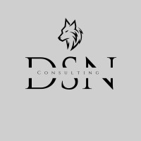 DSN Consulting LLC logo - Similar company to Bns Consulting