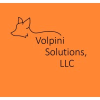 Volpini Solutions, LLC logo - Similar company to Volpini Ventures