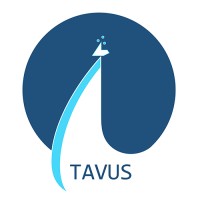 Tavus Oy logo - Similar company to Squxad