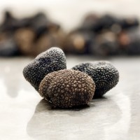 LE DIAMANT DU TERROIR logo - Similar company to Sofrabrick