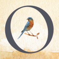 TrustHouse logo - Similar company to Blackridge Construction Inc.