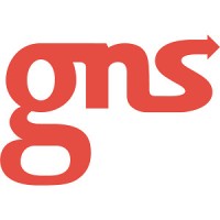 GNS Sales LLC logo - Similar company to Stone Lain