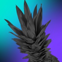 Macfor logo - Similar company to Evoa Aceleradora