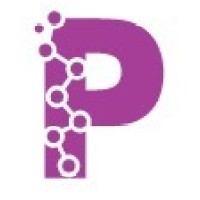 Pratya AI Labs logo - Similar company to Insider Forensics Llc, Sdvosb