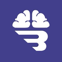 Brightminds VIP logo - Similar company to Freedom Health Systems
