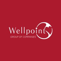 Wellpoint Group of Companies logo - Similar company to Etki̇ Group