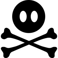 Skallywag logo - Similar company to Numada Digital