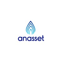 Anasset Company Ltd logo - Similar company to Kafui & Partners