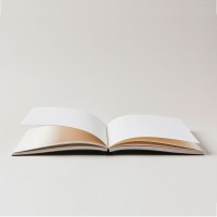 MARK+FOLD logo - Similar company to Future