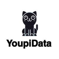 YoupiData logo - Similar company to Axa Prévoyance Et Patrimoine Bordeaux [Asg]