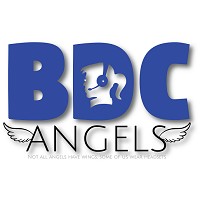 BDC Angels LLC logo - Similar company to Chuck Stevens Ford