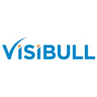 Visibull logo - Similar company to Asan Digital