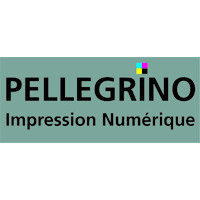 Reproductions Pellegrino logo - Similar company to Agence Madn