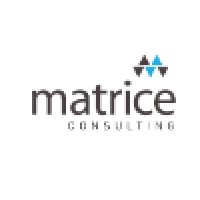 Matrice Consulting logo - Similar company to D3