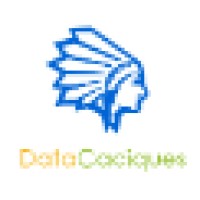 DataCaciques logo - Similar company to Turbo Digital