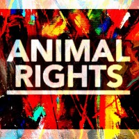 Animal Rights logo - Similar company to Stichting Animal Rights