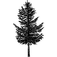MountainPine Europe logo - Similar company to Pampos Ventures