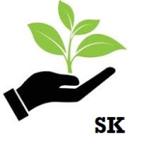 SK Business Acceleration Services logo - Similar company to Icebow Ltd.