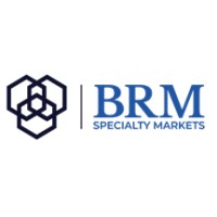 BRM Specialty Markets logo - Similar company to Sands Point Risk