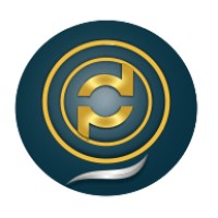 Despro IT Solutions logo - Similar company to Metafox Tech