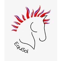 EquiSol logo - Similar company to Clc Insight