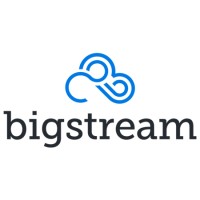 Bigstream logo - Similar company to Accelr
