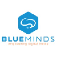 BlueMinds BV logo - Similar company to Summit Dis Bv