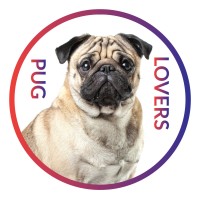 Pug Lover logo - Similar company to Pug Vodka Ltd