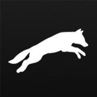 Glassfox logo - Similar company to Dwelltry Adus