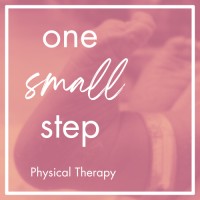 One Small Step Physical Therapy logo - Similar company to Chickadee Speech Therapy