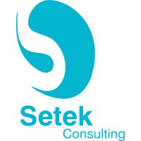 Setek Consulting logo - Similar company to Compolaser