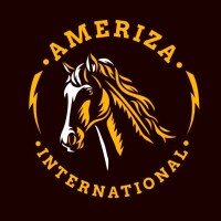 Ameriza International™ P.K logo - Similar company to Steed & Style