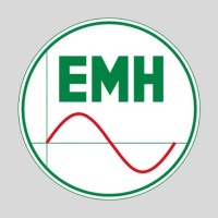 EMH Energie-Messtechnik GmbH logo - Similar company to Eress