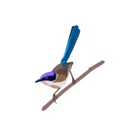 Malu Fauna logo - Similar company to Bamford Consulting Ecologists