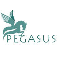 Pegasus Assets Reconstruction Pvt. Ltd. logo - Similar company to Impact Restructuring and Turnaround