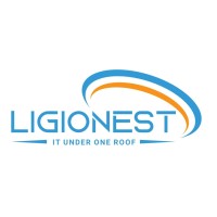 Ligionest Technologies Pvt Ltd logo - Similar company to E2E Minds
