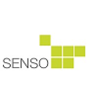 Senso Group Limited
