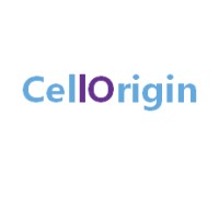 CellOrigin Biotech logo - Similar company to Avery Therapeutics, Inc.