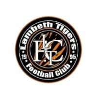 Lambeth Tigers Football Club logo - Similar company to The Physical Performance Hub